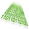 guardar la información del formulario en la base de datos